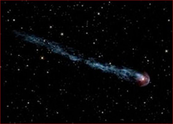 Мира кита звезда