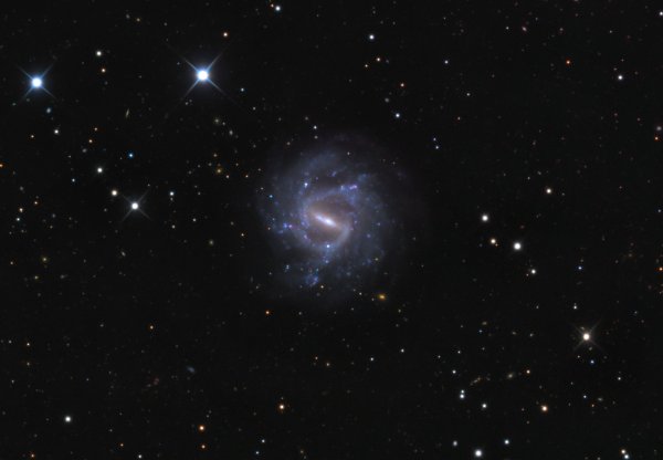 Созвездие кит на небе