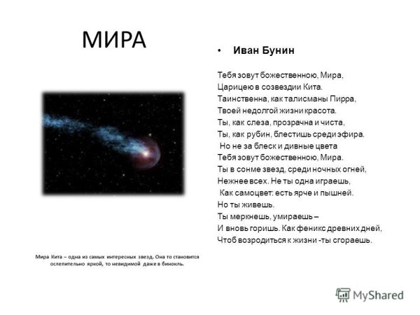 Созвездие Цетус