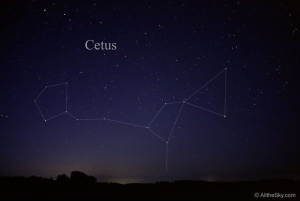 Звезда мира в созвездии кита