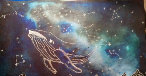 Созвездие кита