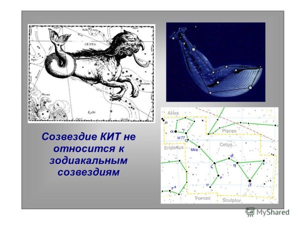 Созвездие Тау кита