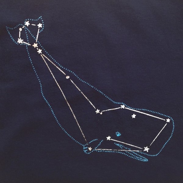 Как выглядит Созвездие кита