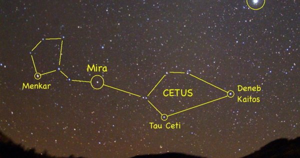Созвездие Цетус