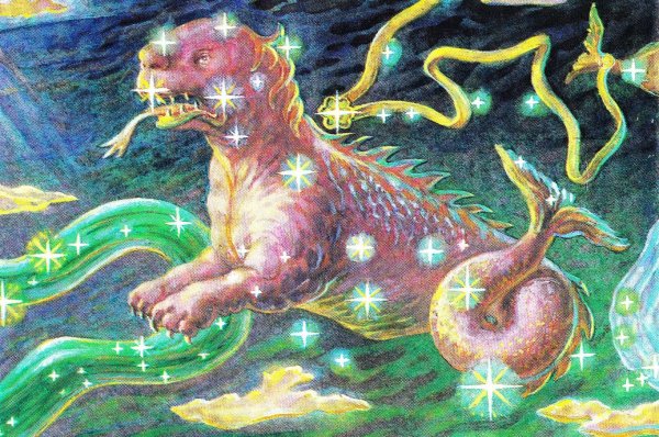 Звезда мира в созвездии кита