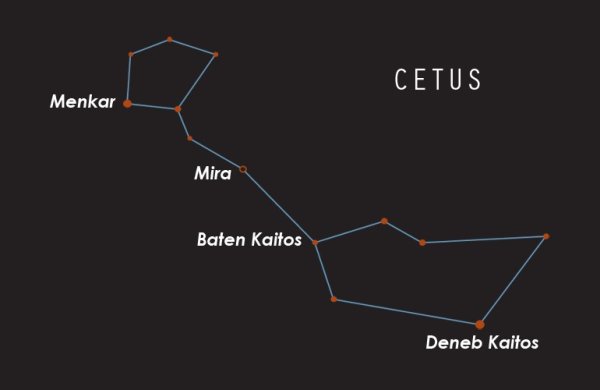 Киты в космосе