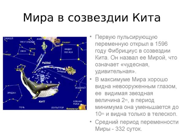 Рыбы в космосе