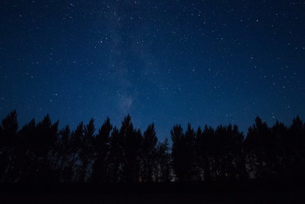 Метеорный поток Ориониды