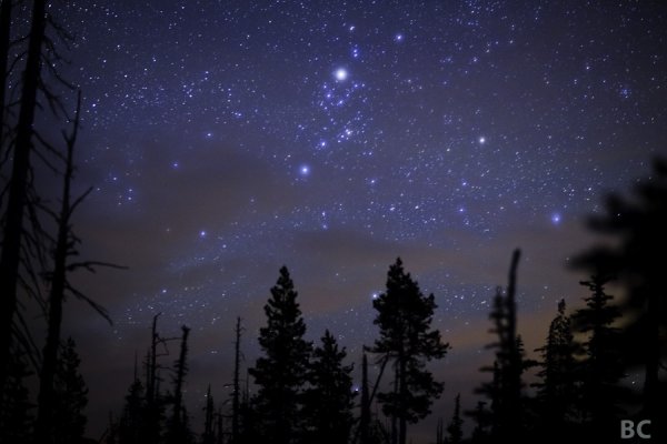 Звезда с неба