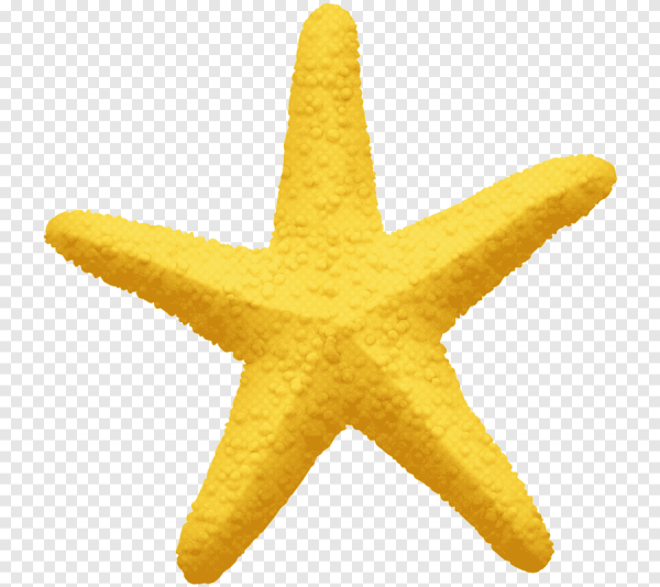 Пятиконечная морская звезда