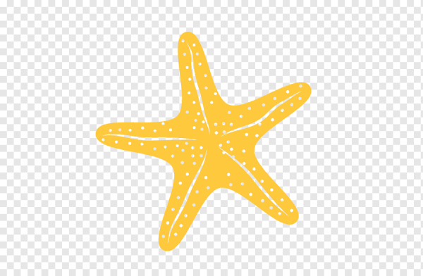 Желтая морская звезда