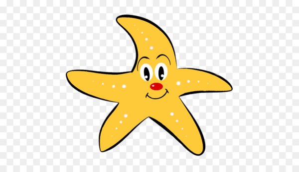 Жёлтая морская Звездочка