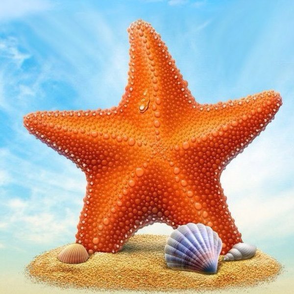 Морская звезда мультяшный