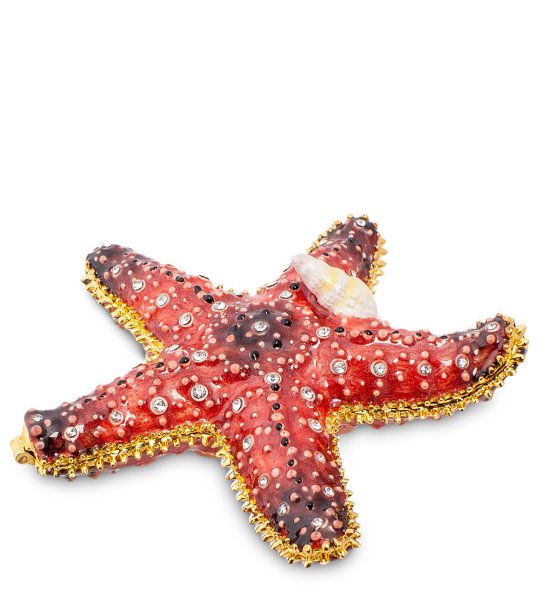 Морская звезда