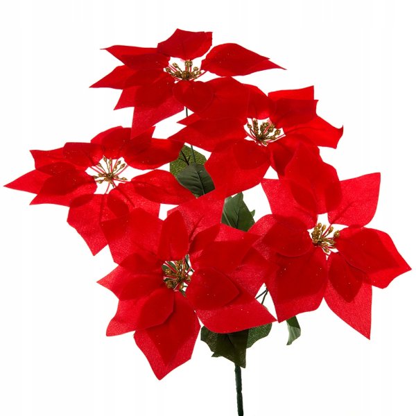 Букет из звезд