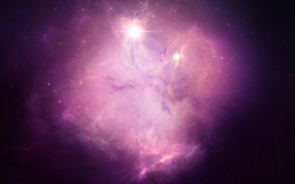 Розовый космос