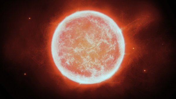 Canis Majoris звезда