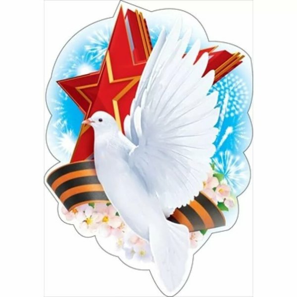 Голубь с георгиевской лентой