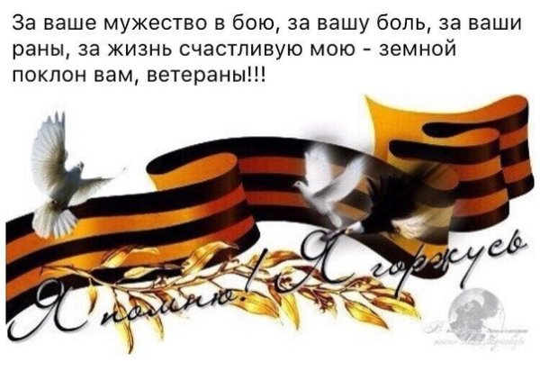 Голубь с георгиевской лентой