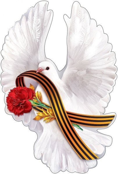 Голубь с георгиевской лентой