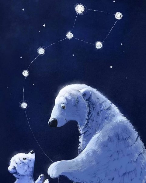 Созвездие белой медведицы