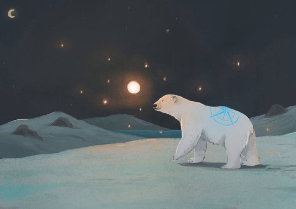 «Белый медведь и Северное сияние» о.в.Павлова с.39;