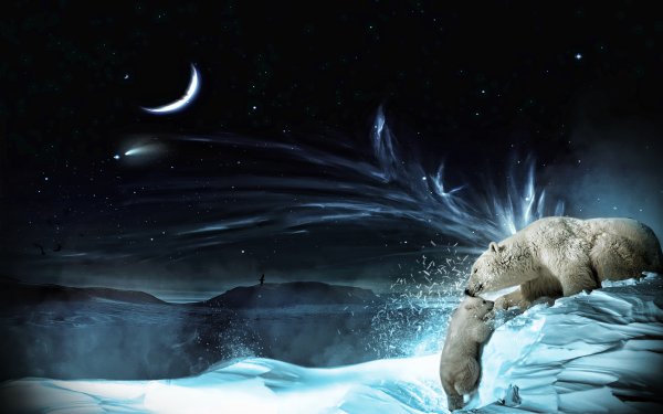 Животные Северного полюса