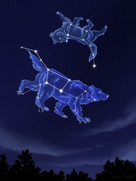 Северное сияние Медведица Умка