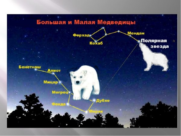 Созвездие малая Медведица и Полярная звезда