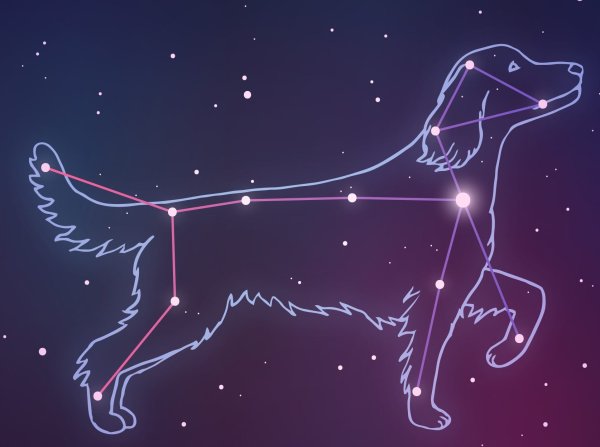 Созвездие пса Сириус