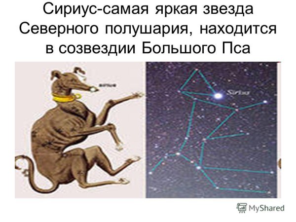 Сириус звезда в созвездии