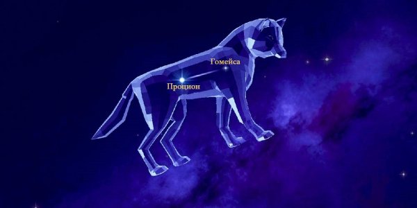 Созвездие малый пес