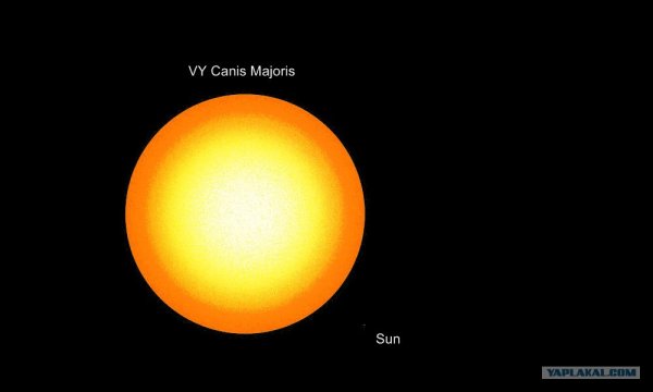 Звезда vy большого пса