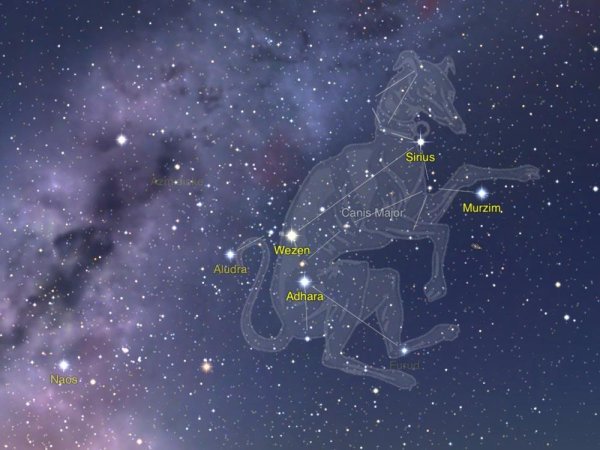 Сириус звезда в созвездии большого пса