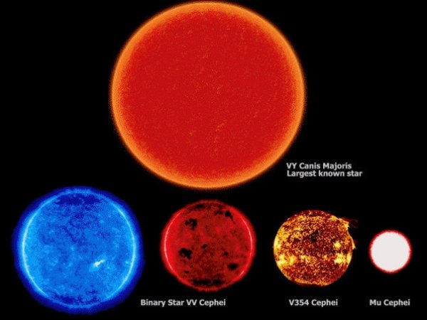 Canis Majoris звезда