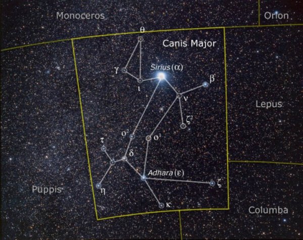Canis Major Созвездие