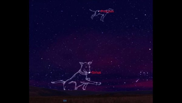 Созвездия большой пёс и малый пёс