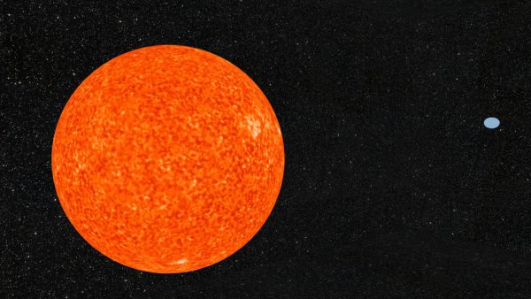 Canis Majoris звезда Бетельгейзе
