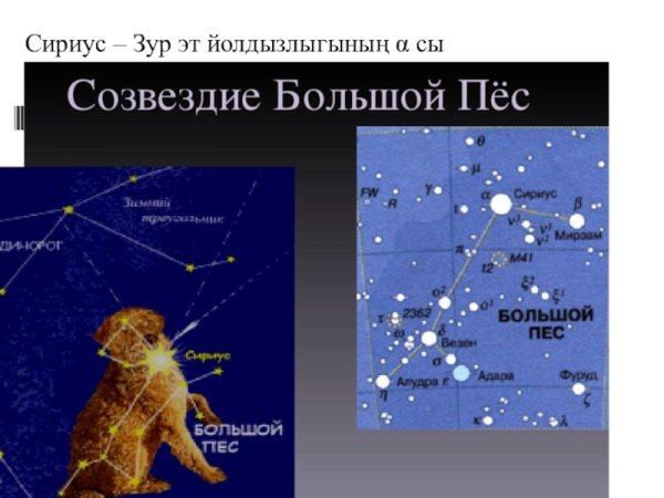 Созвездие большой пес схема