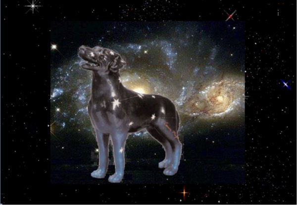 Гумилев в небесах