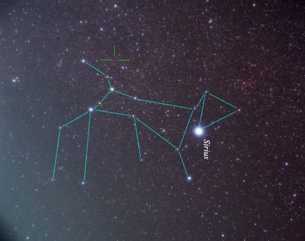 Vy в созвездии большого пса