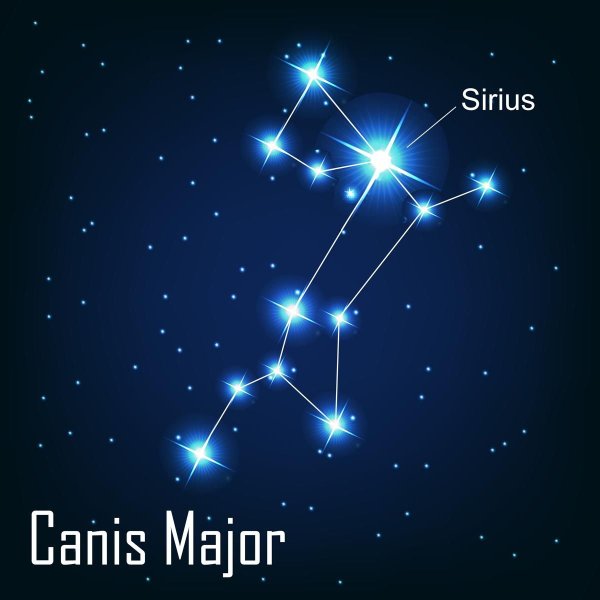 Canis Major Созвездие