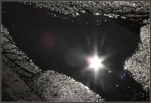 Звезды в лужах