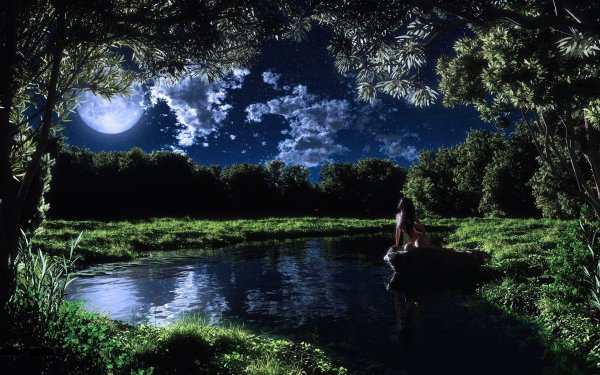 Красивая ночь