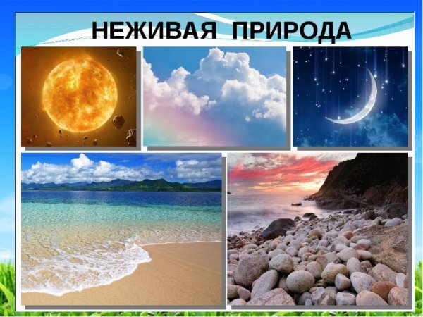 Объекты неживой природы