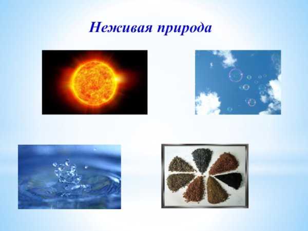 Состояние неживой природы