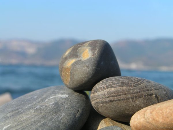 Живая Радуга