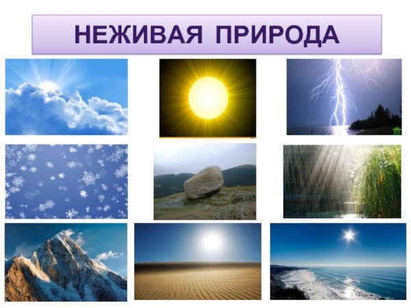 Радуга и солнце на море