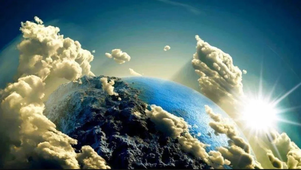 Пазлы Живая и неживая природа для детей