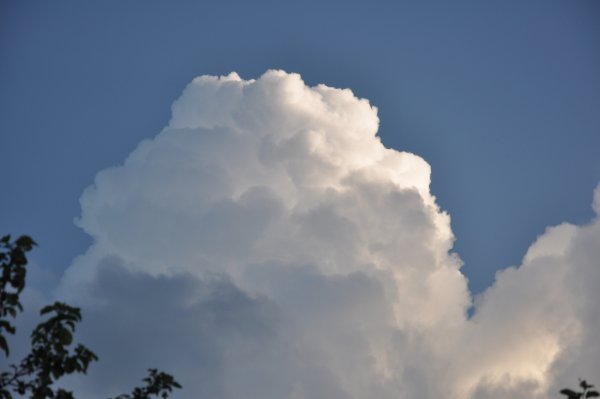 Неживая природа